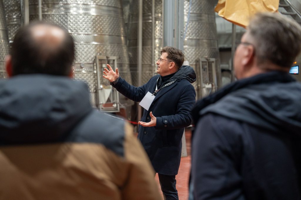 degustare ghidata de vin